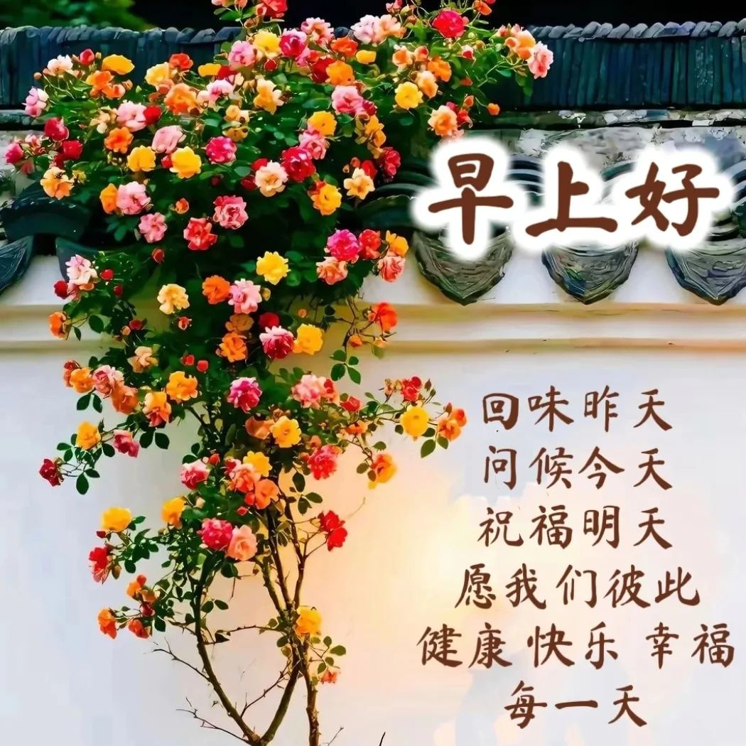 写给自己的一段话:自在随心，平安快乐，随心而行