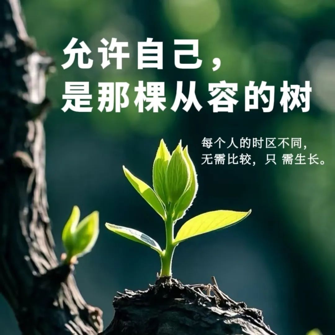 很洒脱的一段话：愿你我都能在起落间守住从容， 撑得起晴空，也接得住星光，