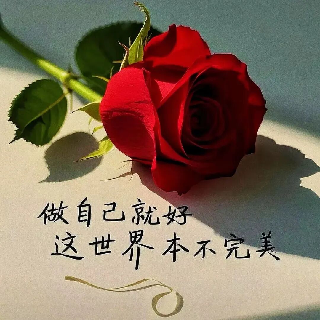 非常喜欢的一段话