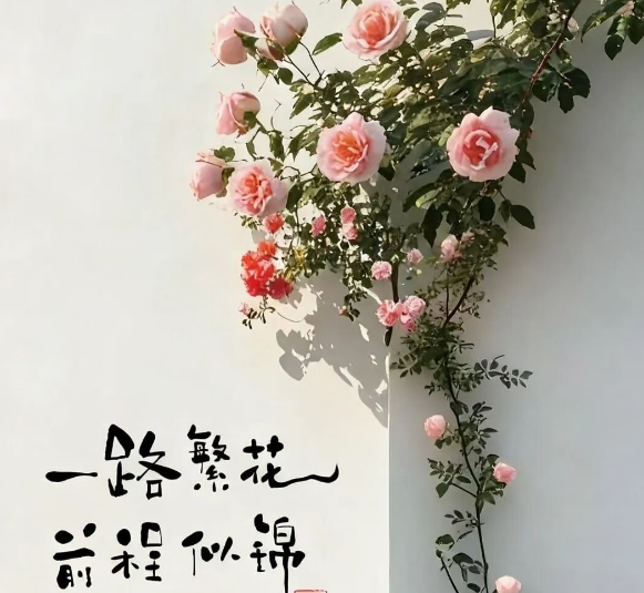 很喜欢的一段话：