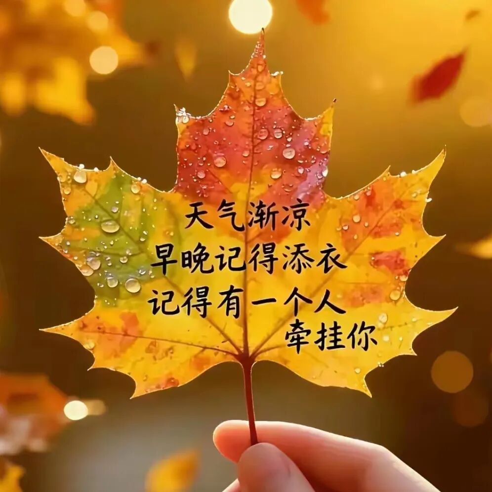 这段话送给大家