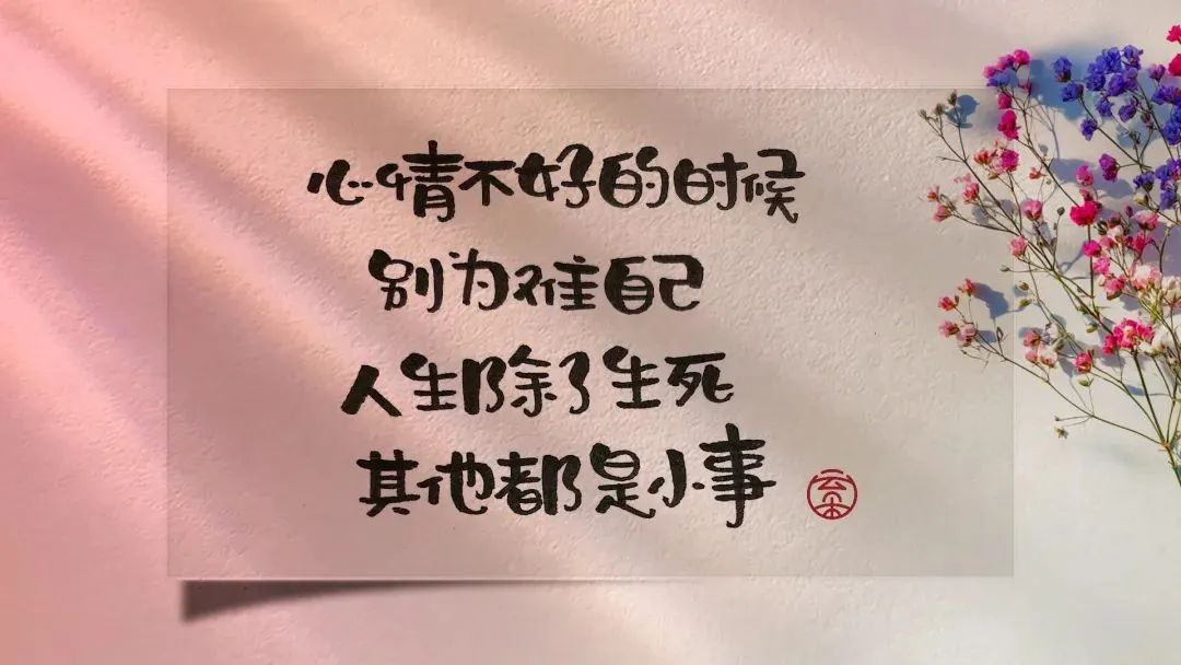 这段话说的太好了：让心灵得以自由飞翔，  去拥抱每一个新的日出