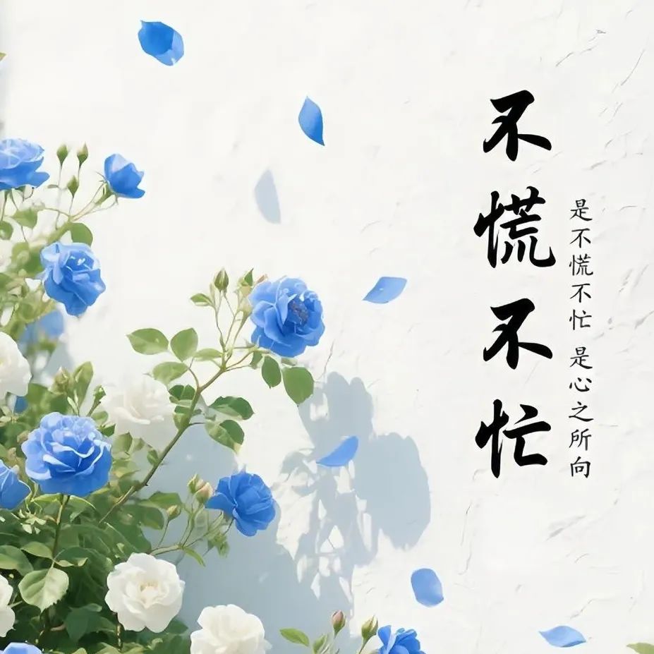 很喜欢的一段话: