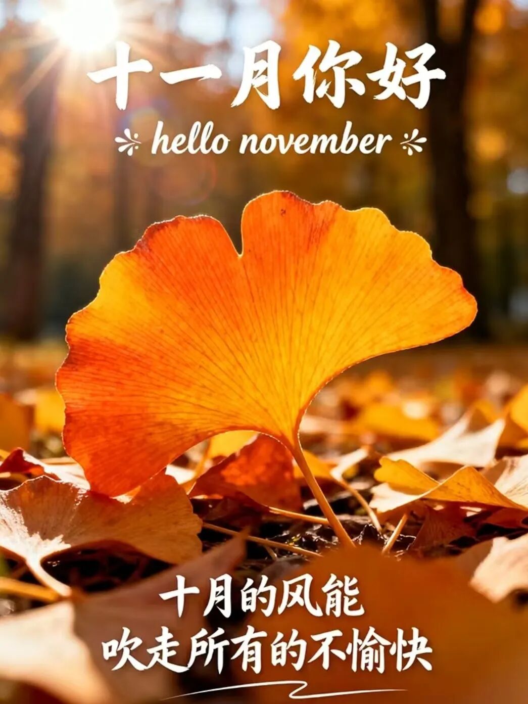 适合十一月发的朋友圈文案，太美了 第 12 张