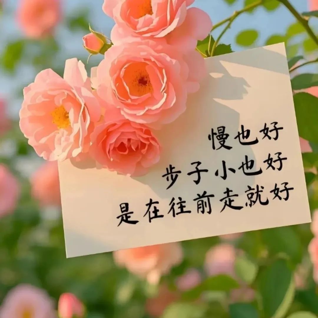 非常正确的一段话：树的方向风决定， 人的路由自己选！ 第 2 张