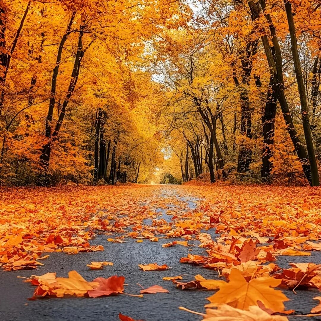 适合秋天发的走心文案,太有感觉了 第 2 张 适合秋天发的走心文案,太有感觉了 第 2 张