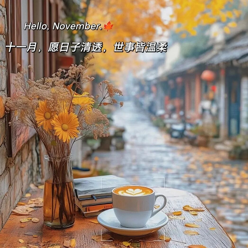 适合十一月发的朋友圈文案，太美了 第 2 张