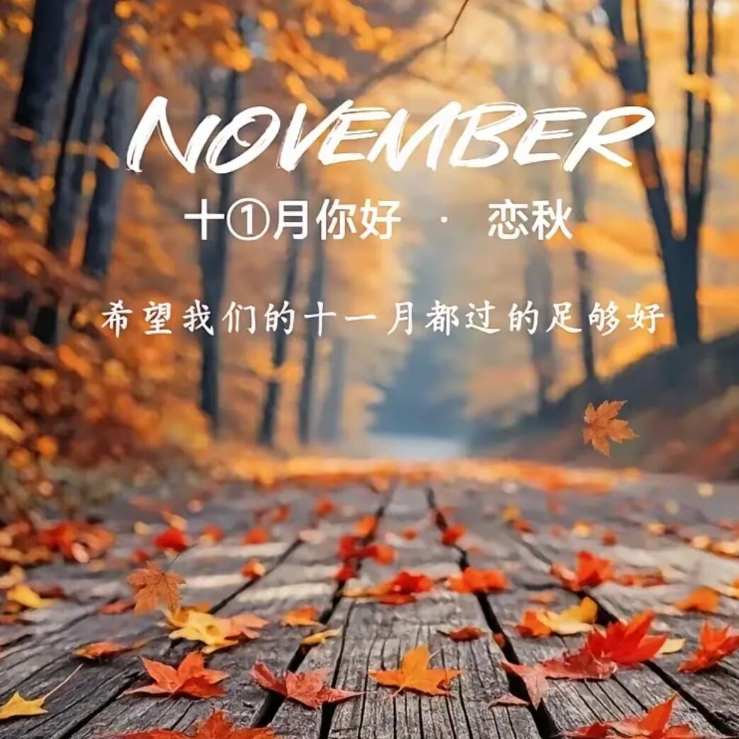 11月！你好！ 第 2 张