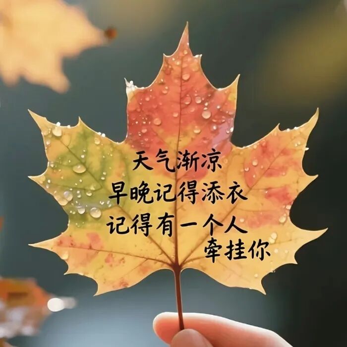 适合秋天发的走心文案,太有感觉了 第 4 张 适合秋天发的走心文案,太有感觉了 第 4 张