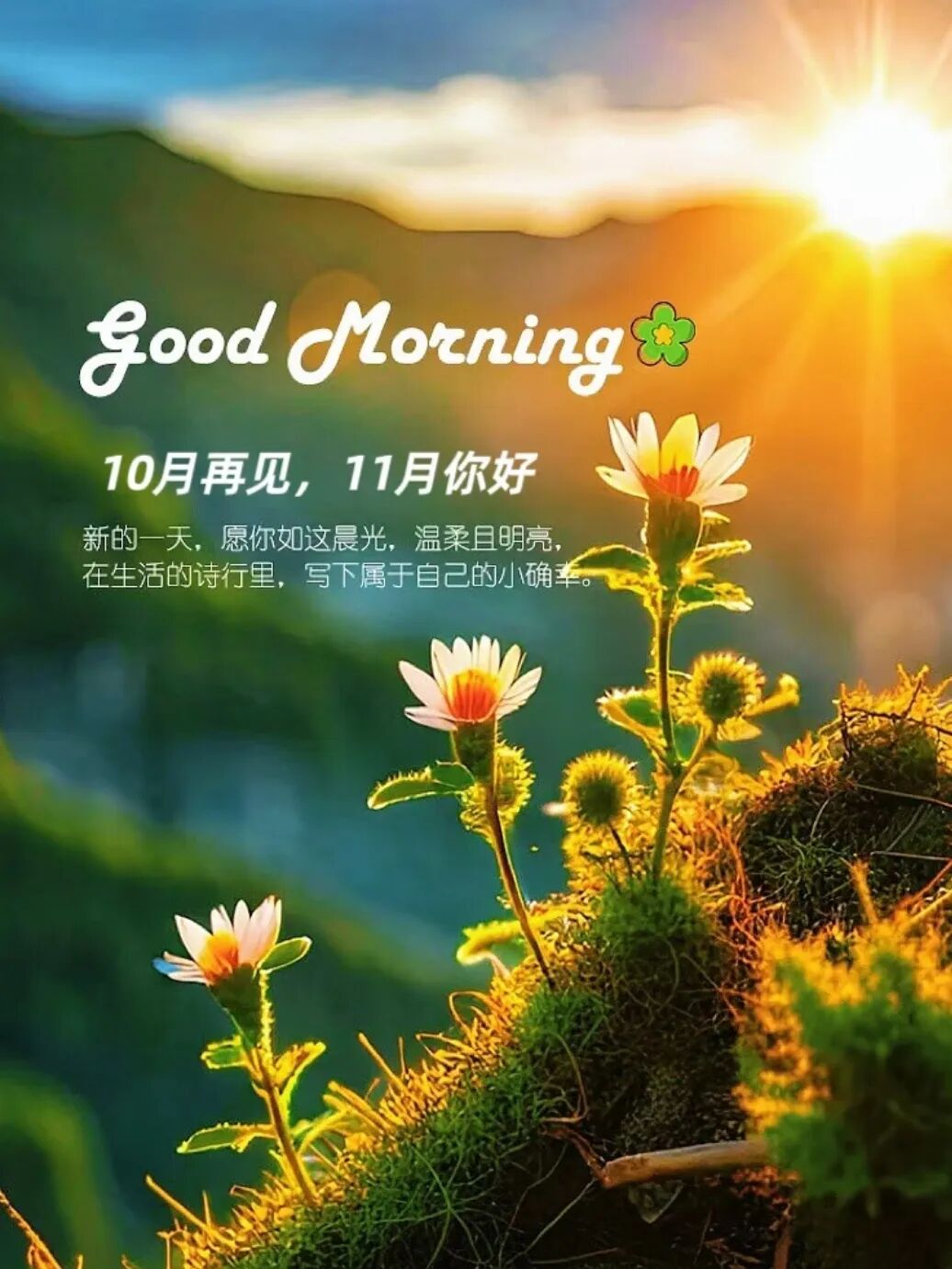 适合十一月发的朋友圈文案，太美了 第 4 张