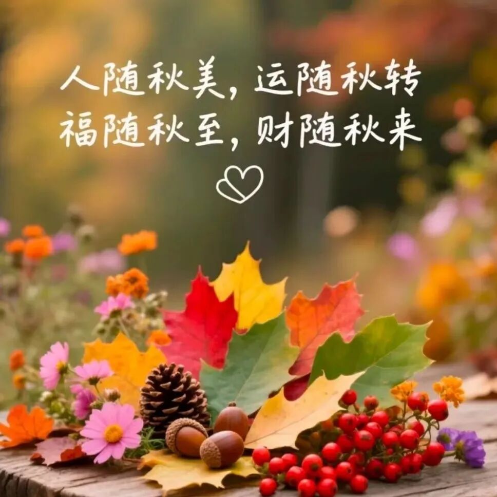 句子很短,却渡人渡己 第 5 张 句子很短,却渡人渡己 第 5 张