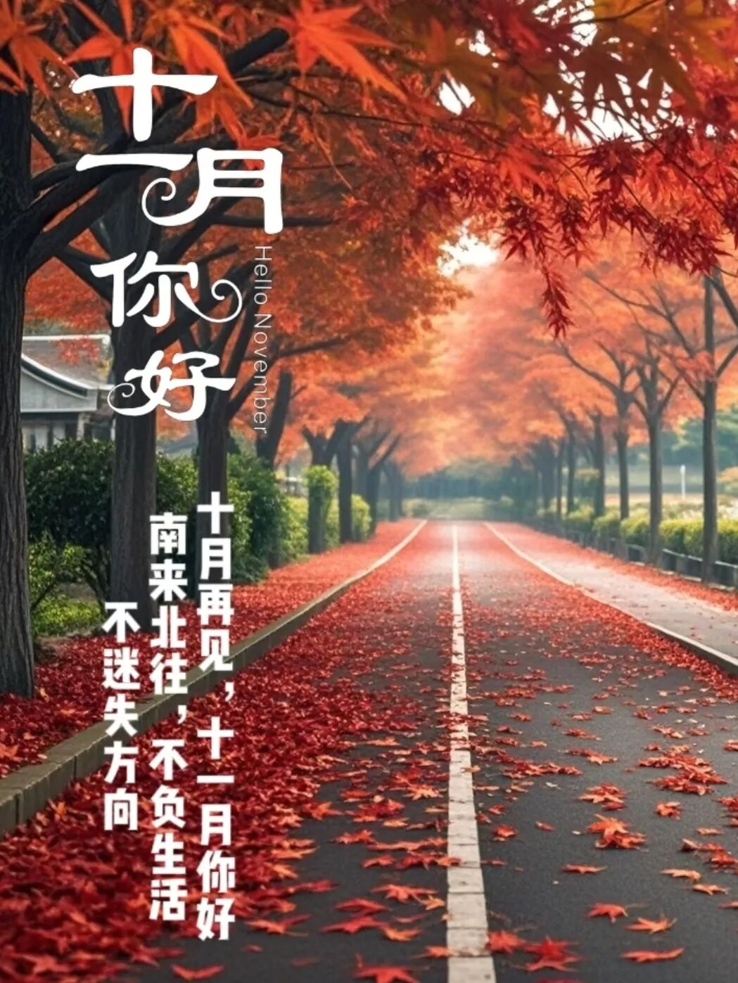 适合十一月发的朋友圈文案，太美了 第 9 张